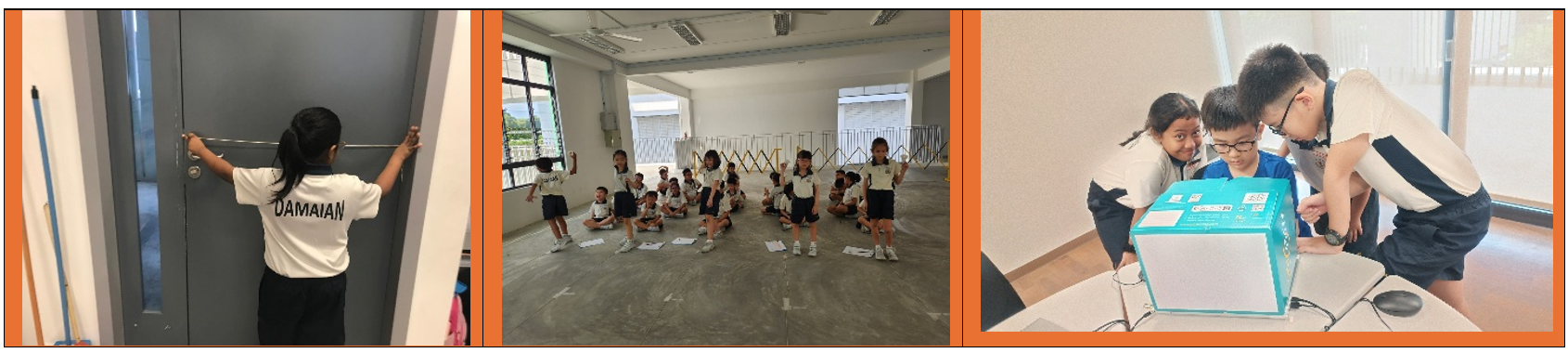 Inquiry-based Learning (IBL)